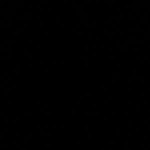 Meet your Posher, Tori